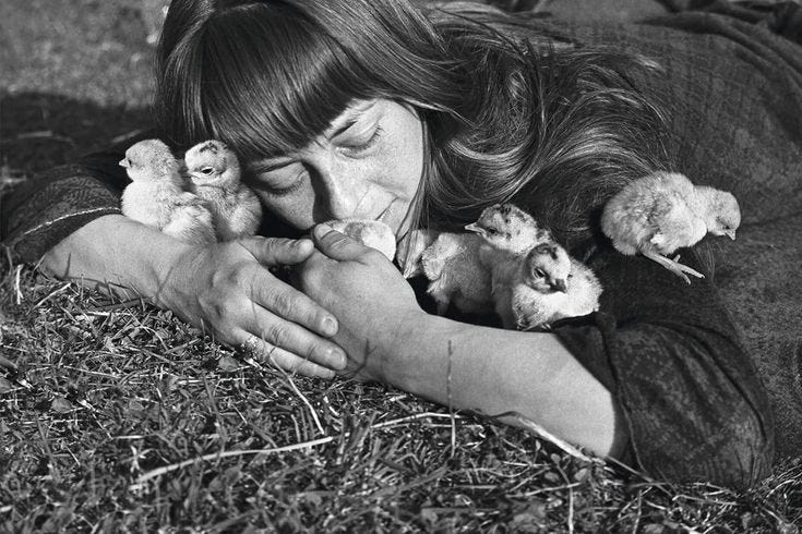 This may contain: a woman laying on the ground with her head down holding two baby birds