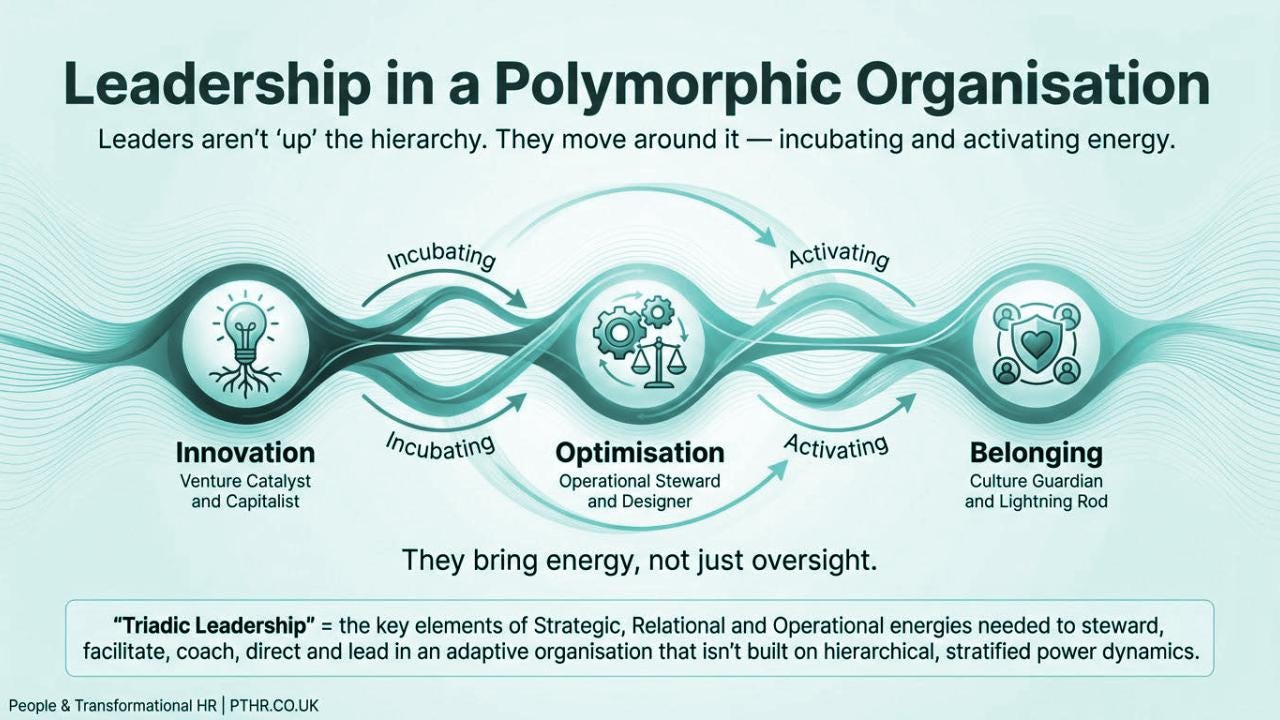 The Polymorphic Organisation - Part XIX - by Perry Timms