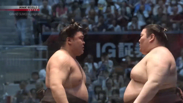 Sumo Stomp! | Tim Edwards | Substack
