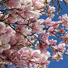 May Writing Prompts to Inspire