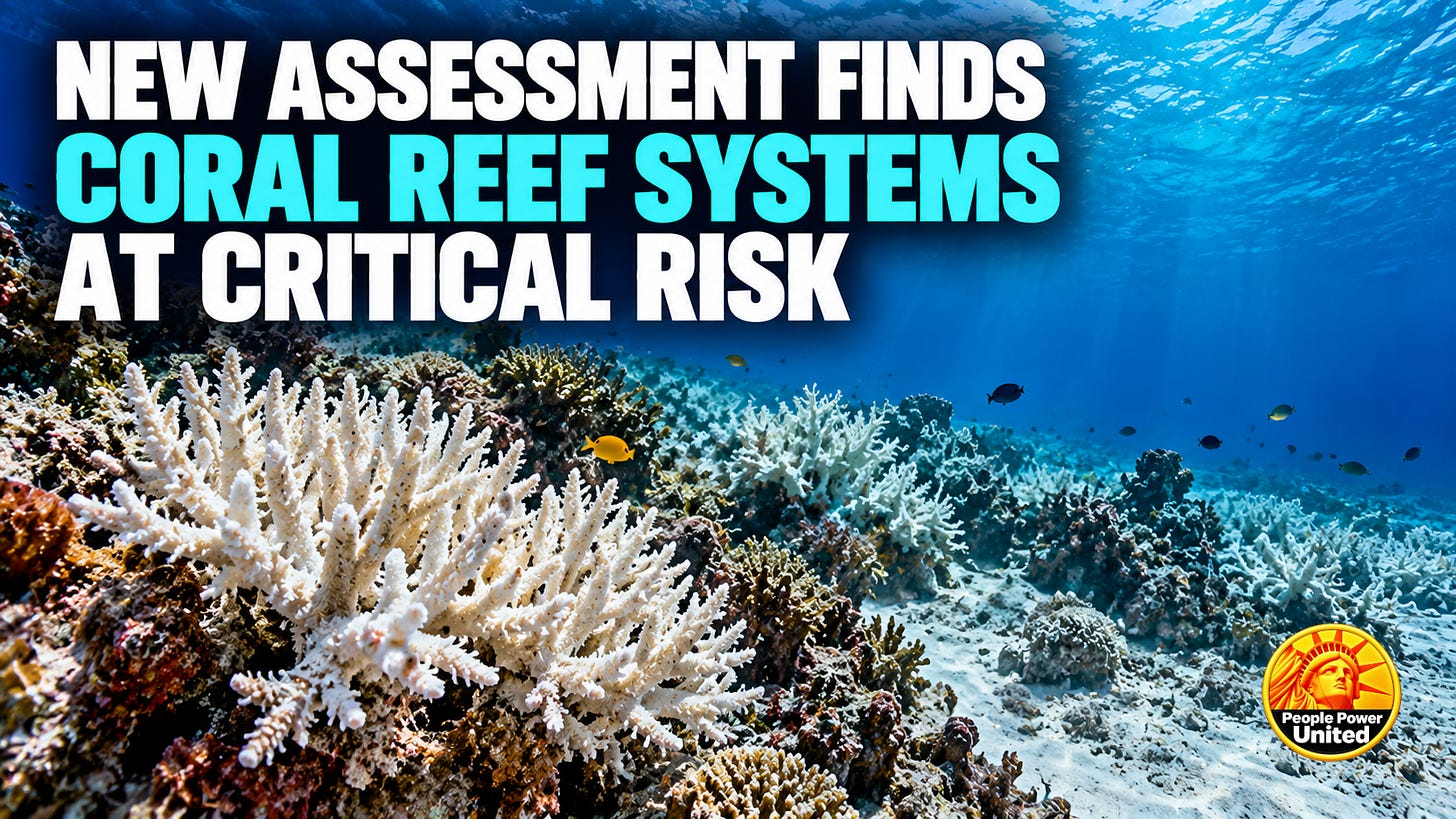  New assessment finds coral reef systems at critical risk.