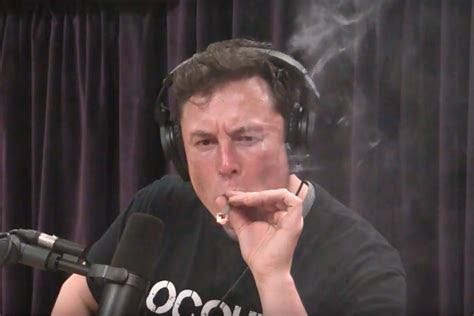 The new hero.