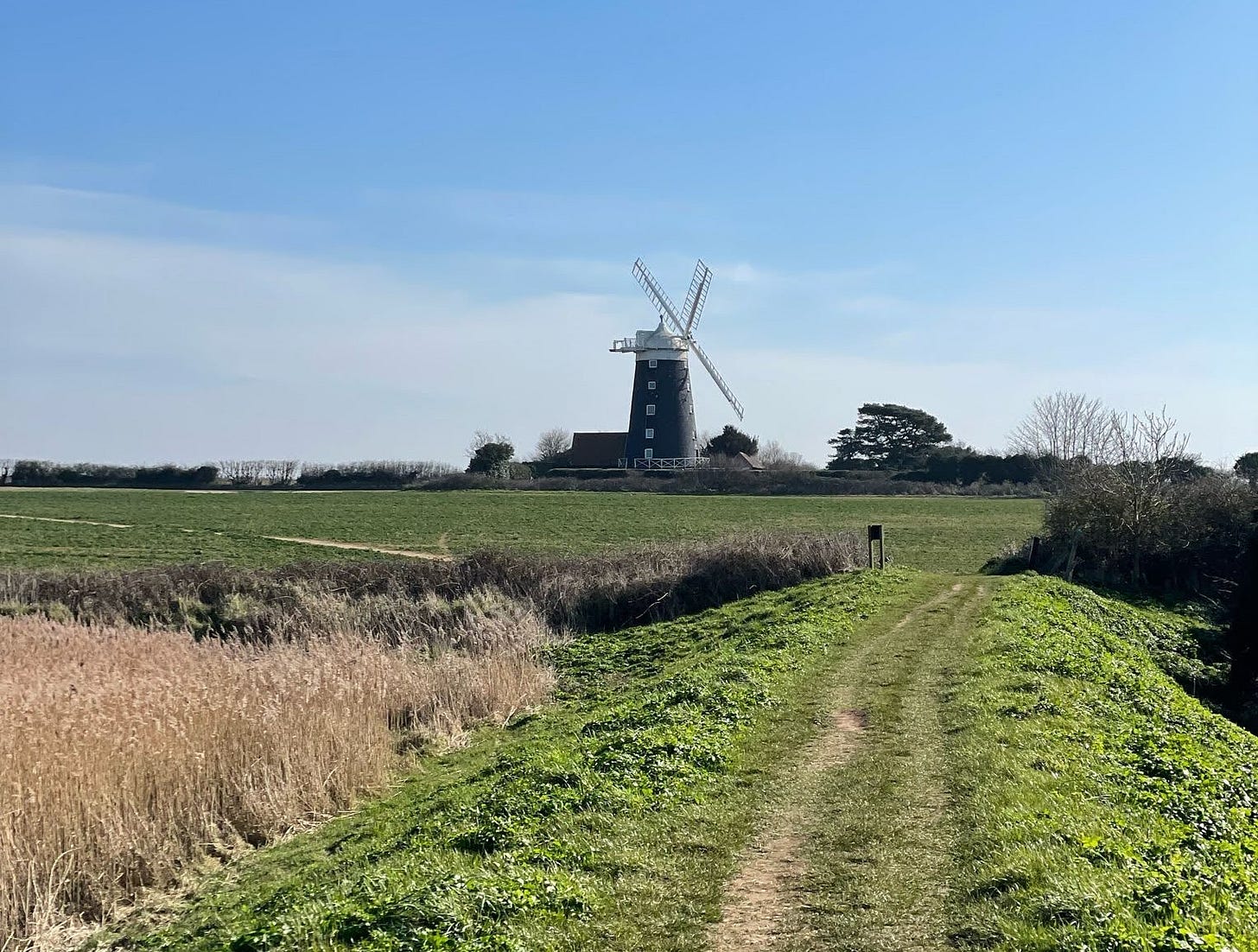 Image shows a windmill on the horizon, blue skies behind it and green fields in front