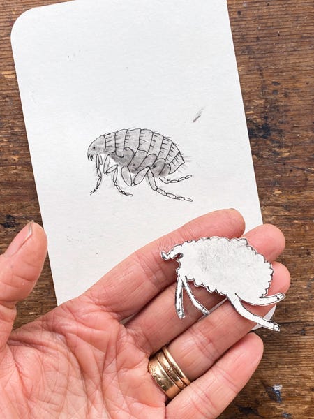 Ink book illustrations