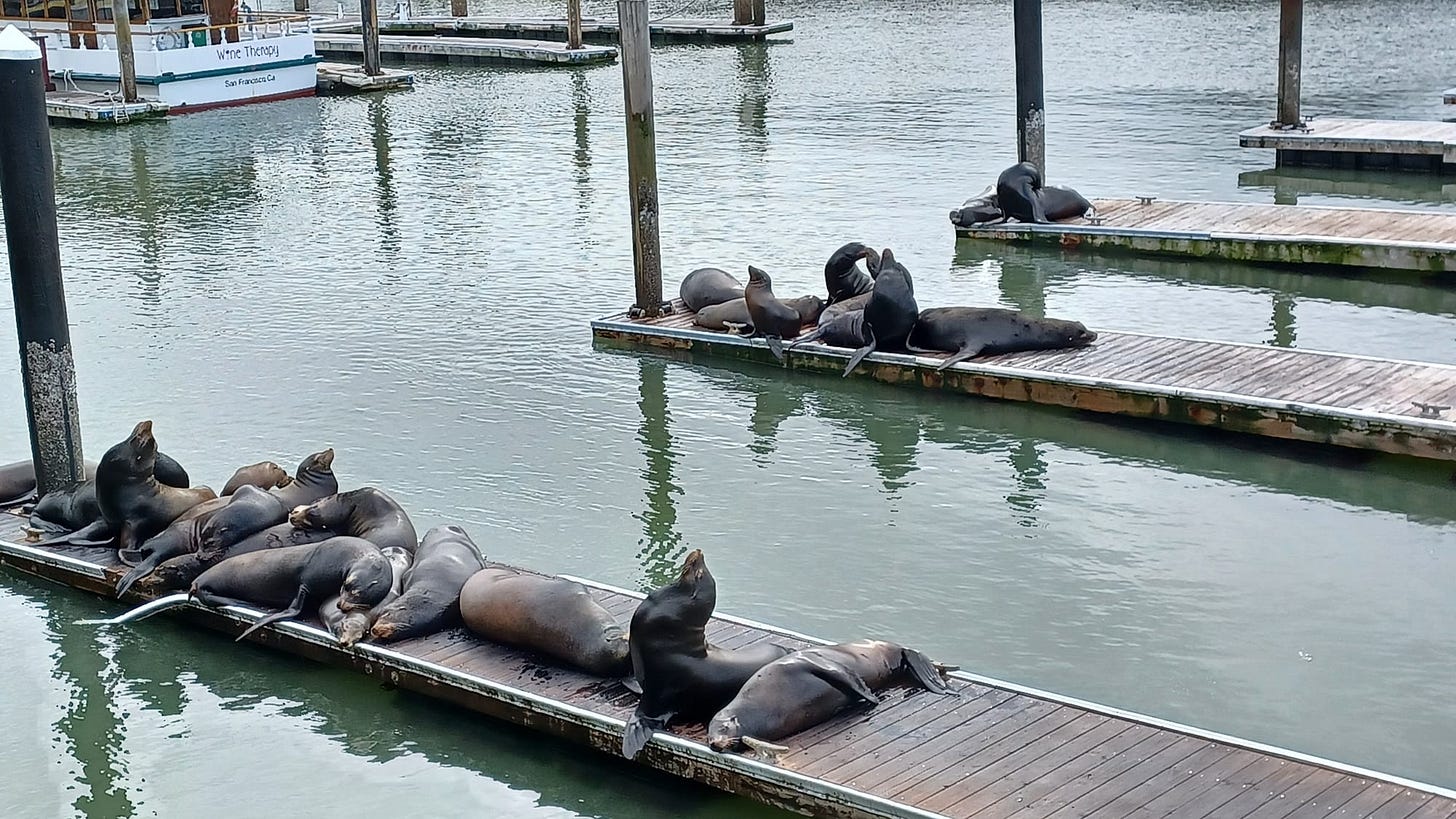 A week-long guide to San Francisco