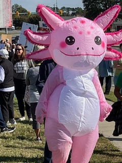 A person in a garment

AI-generated content may be incorrect.