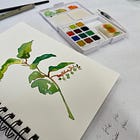 Growth Mindset for Writers