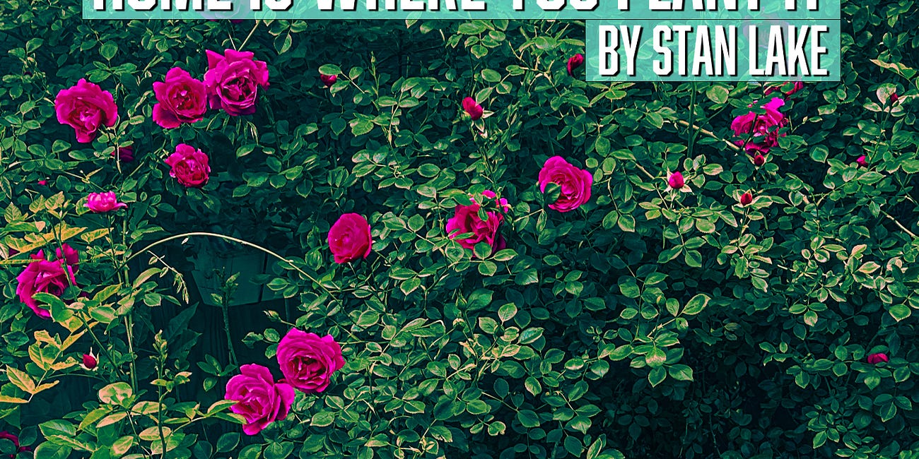Home Is Where You Plant It