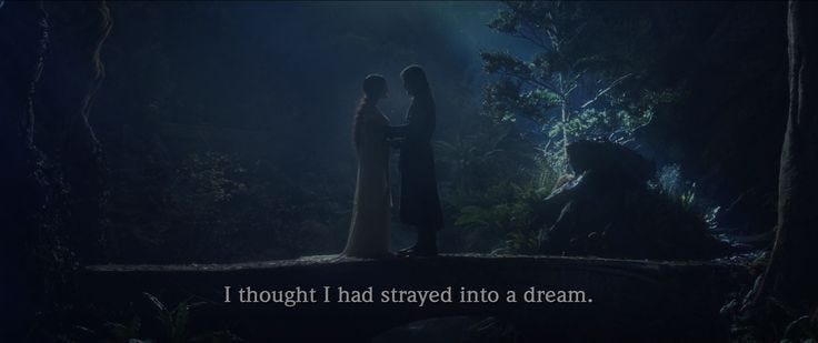 This may contain: two people standing in the middle of a forest with an inspirational quote above them that reads, i thought i had started into a dream