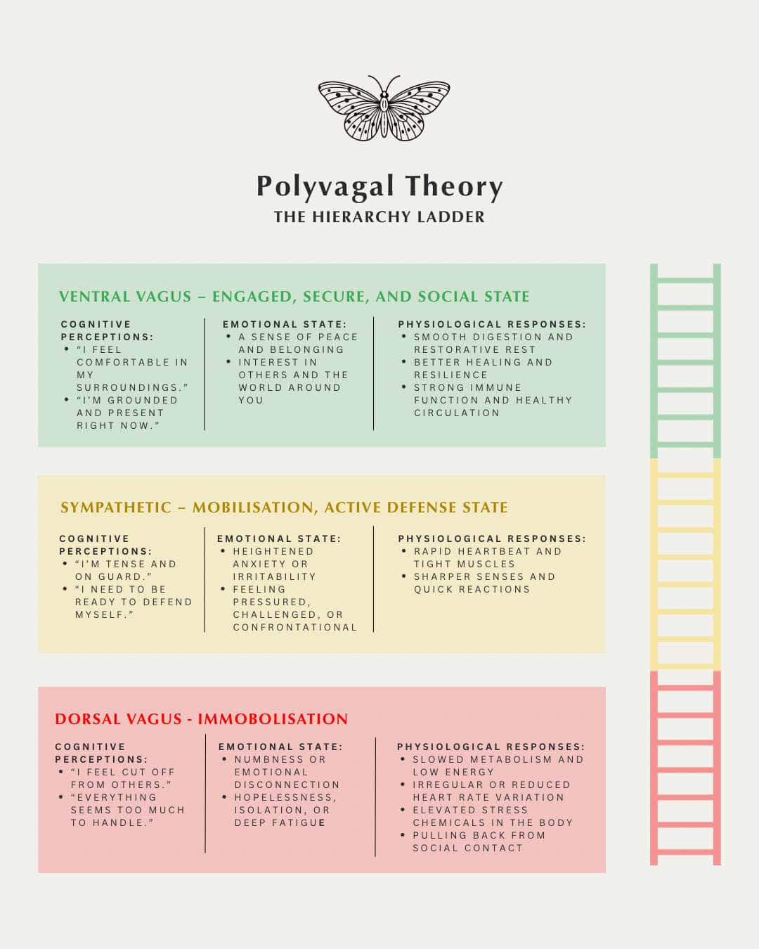 The Polyvagal Ladder - Emily Kennett