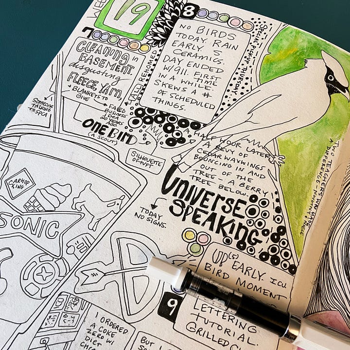Assorted pages from Illustrate Your Week illustrated journal (various weeks) and embroidery stitch journal. A Cowen