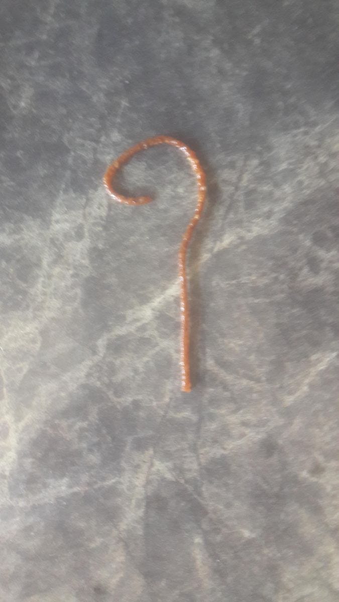 Overcooked spaghetti wand Base Damage:1 Durability 0.5 When Equipped:Immediatly breaks unless ...