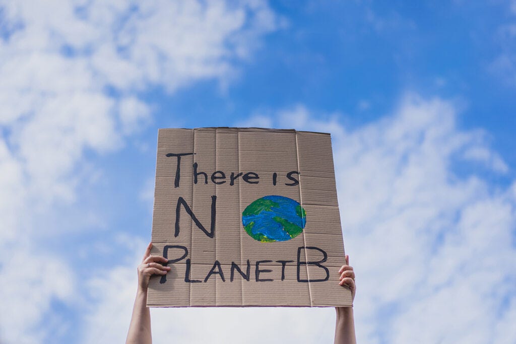 How green is your delivery? Are carriers greenwashing?