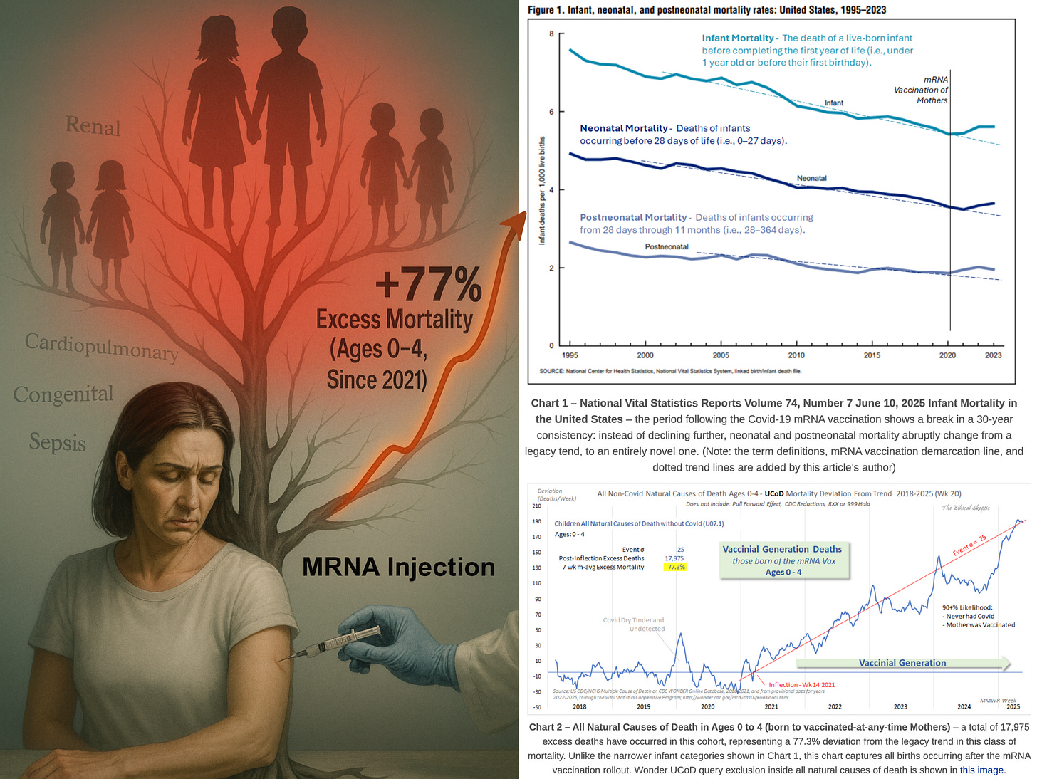 BREAKING: CDC Child Death Records Indicate Severe Transgenerational Harm of Mass mRNA Vaccination
