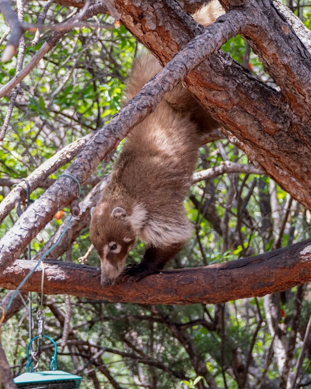 20240623-AZYBC-546-Edit.jpg 20240623-AZYBC-546-Edit.jpg