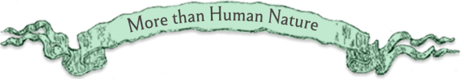 More than Human Nature by Frieda Gormley