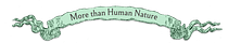 More than Human Nature by Frieda Gormley