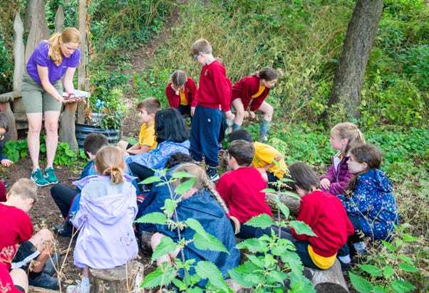 A group of children in a forest

Description automatically generated