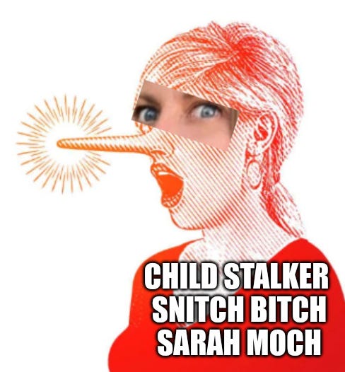 Summary on Sarah Moch