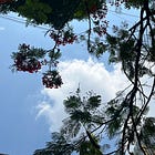 there is only one question