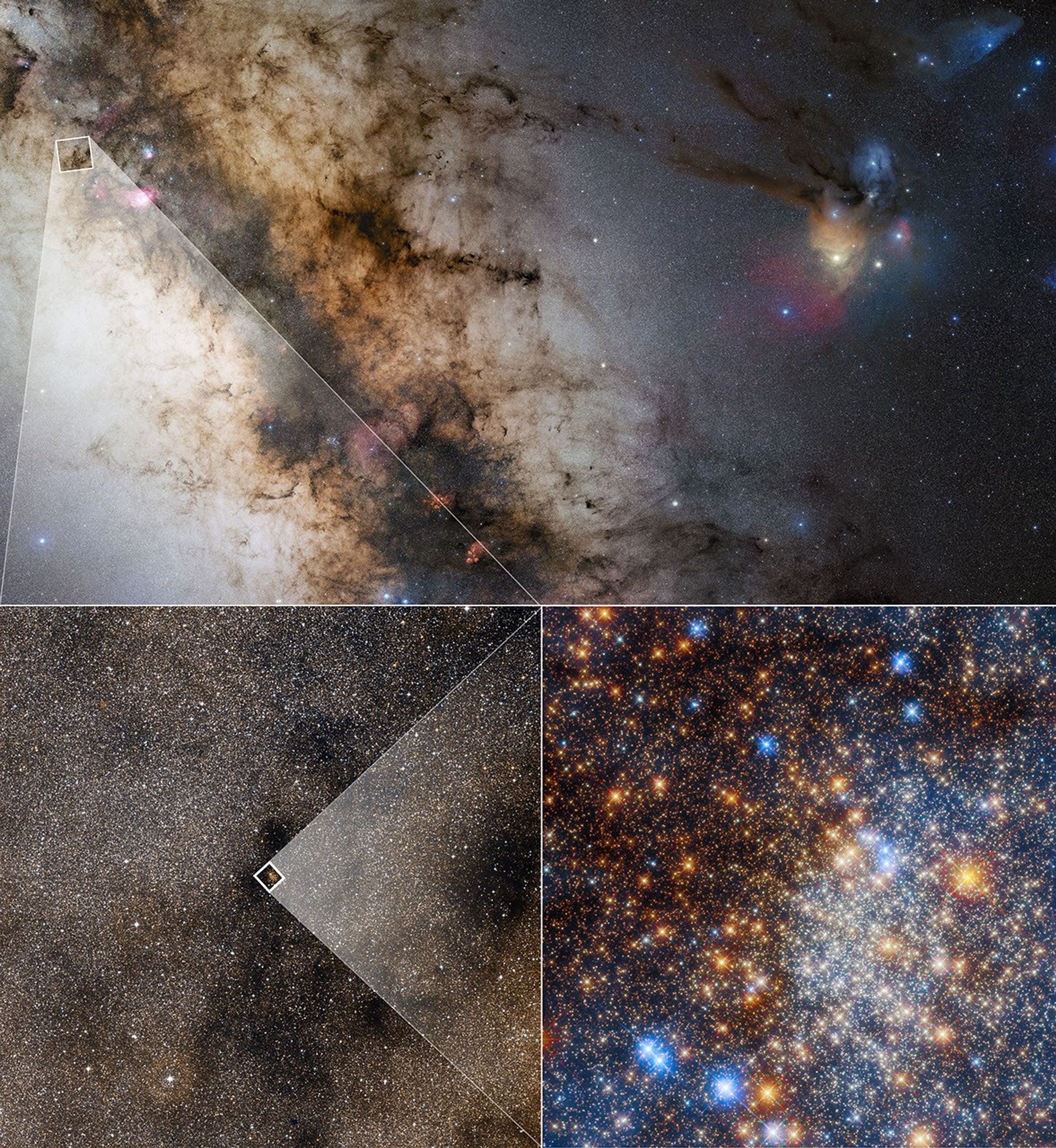 At the top of this mosaic image is a diagonal section of our Milky Way as seen in the direction of the constellation Sagittarius. Pitch-black filaments of interstellar dust are etched across a whitish background of myriad stars. A smaller portion of the Milky Way is at lower left. It is filled with stars and also a mottled pattern of black clouds of dust. The embedded globular star cluster Terzan 12 is in the middle of the box at image center. At image right is a Hubble Space Telescope photo of the dense star-filled globular cluster. Intervening dust scatters starlight to create multiple reddish hues. The brightest red stars in the photo are bloated, aging giants, many times larger than our Sun. They lie between Earth and the cluster. The very brightest hot, blue stars are also along the line of sight and not inside the cluster, which only contains aging stars. The cluster is about 15,000 light-years from Earth. At the top of this mosaic image is a diagonal section of our Milky Way as seen in the direction of the constellation Sagittarius. Pitch-black filaments of interstellar dust are etched across a whitish background of myriad stars. A smaller portion of the Milky Way is at lower left. It is filled with stars and also a mottled pattern of black clouds of dust. The embedded globular star cluster Terzan 12 is in the middle of the box at image center. At image right is a Hubble Space Telescope photo of the dense star-filled globular cluster. Intervening dust scatters starlight to create multiple reddish hues. The brightest red stars in the photo are bloated, aging giants, many times larger than our Sun. They lie between Earth and the cluster. The very brightest hot, blue stars are also along the line of sight and not inside the cluster, which only contains aging stars. The cluster is about 15,000 light-years from Earth.