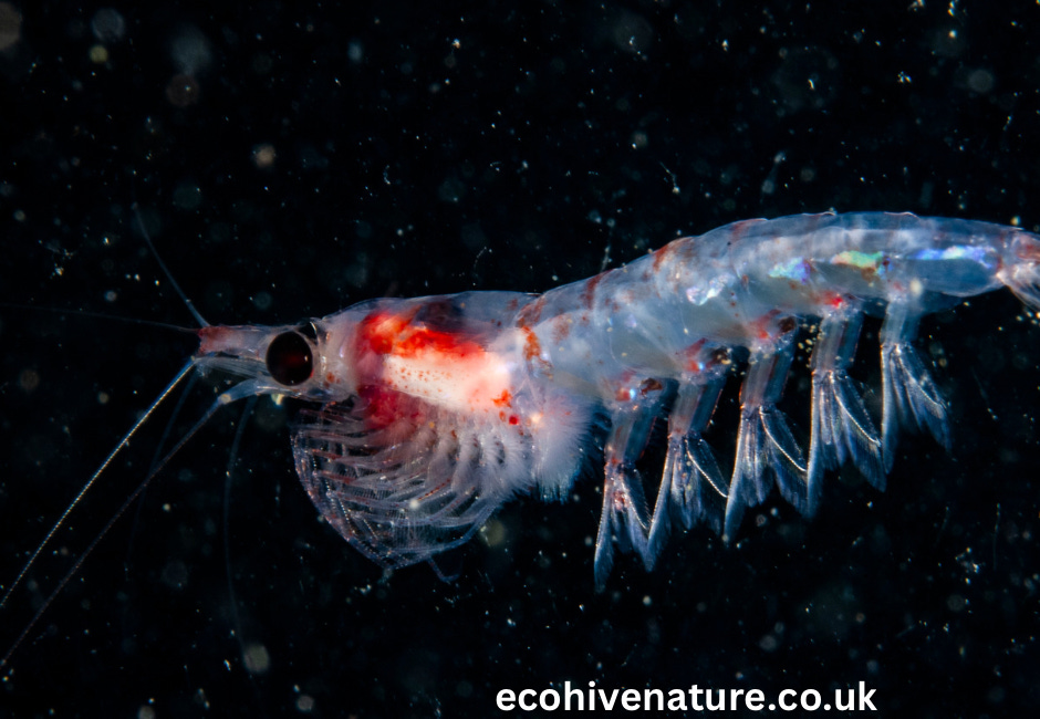 One Planet News: The tiny super-powered climate heroes