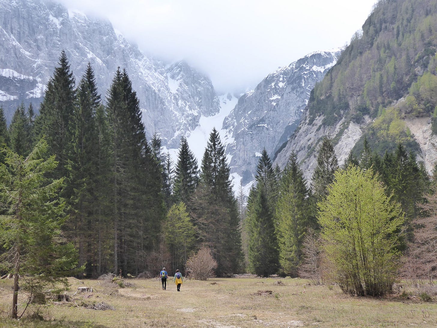 Kranjska Gora & The Julian Alps