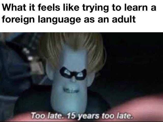 language learning as an adult meme  : Second Language Strategies