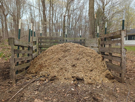 Chicken coop management, Trout lily, new pigs and lambs