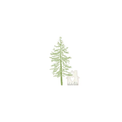 An Evergreen Home