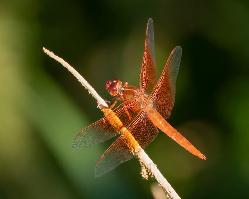 20250915-sgc-79-Edit.jpg