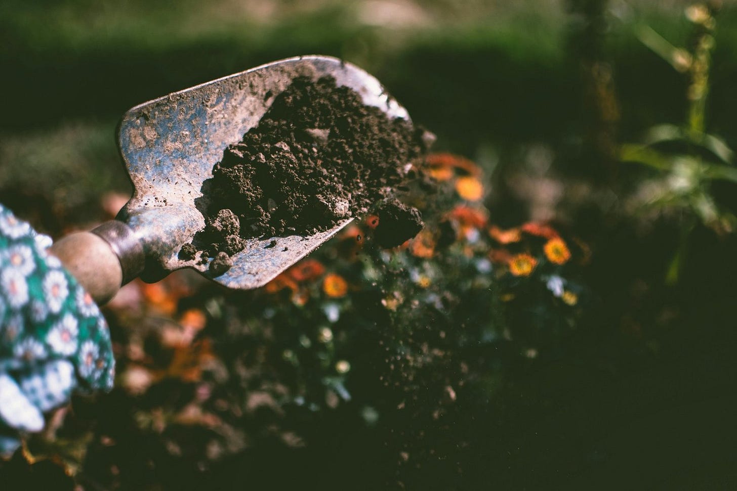 dirt.jpg