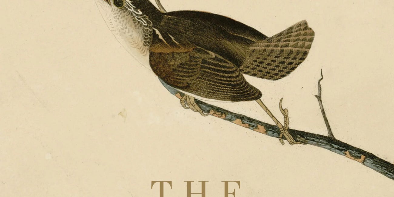 The Wren by A.F. Moritz
