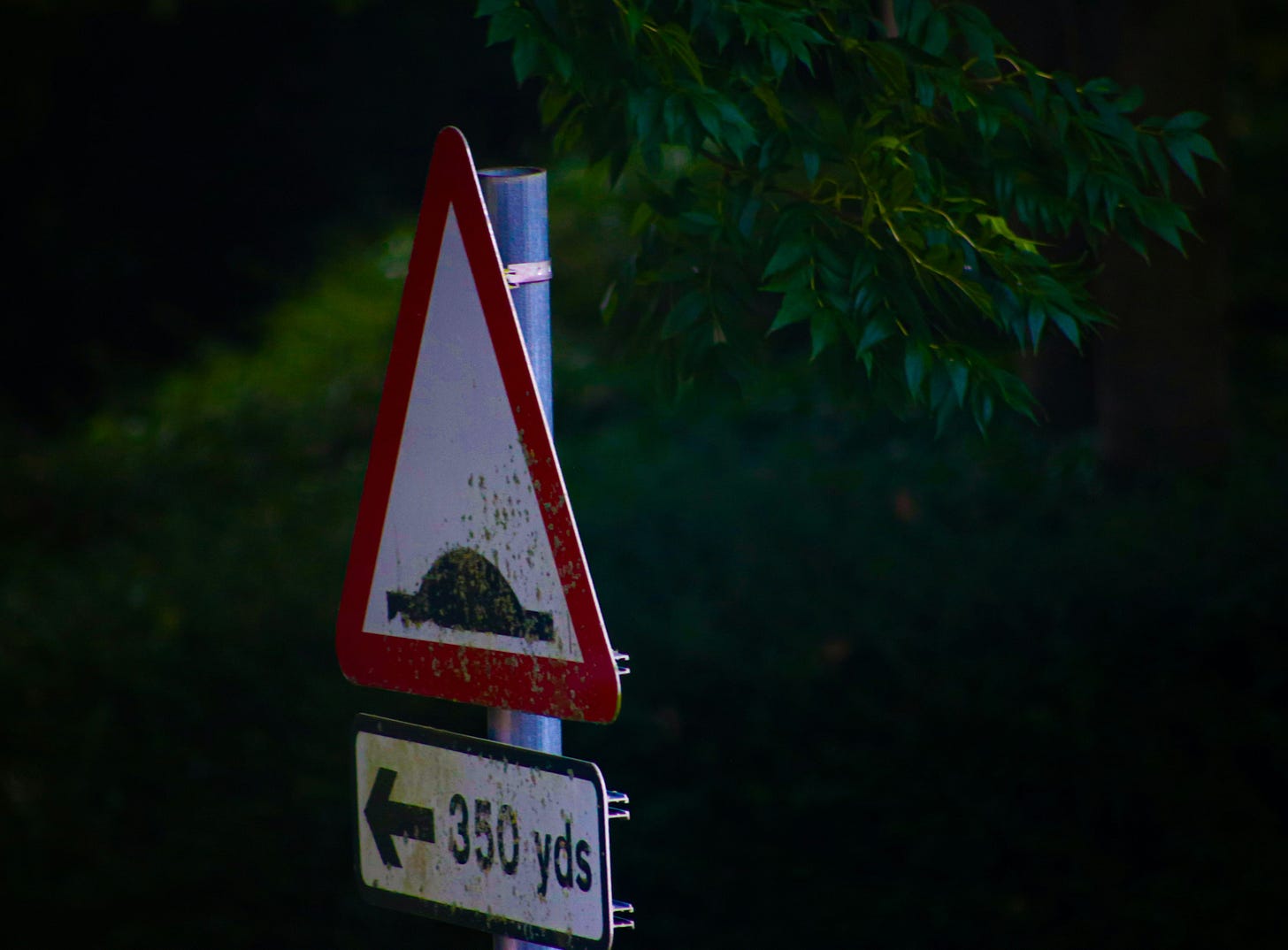 A rusted British road hazard sign photographed at night, a red-bordered triangle showing a speed bump, mounted on a metal pole. Below it a rectangular sign reads "← 350 yds". Dark foliage surrounds it on both sides. 