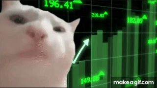 Cat Vibing on Make a GIF