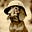 DachshundDad's avatar