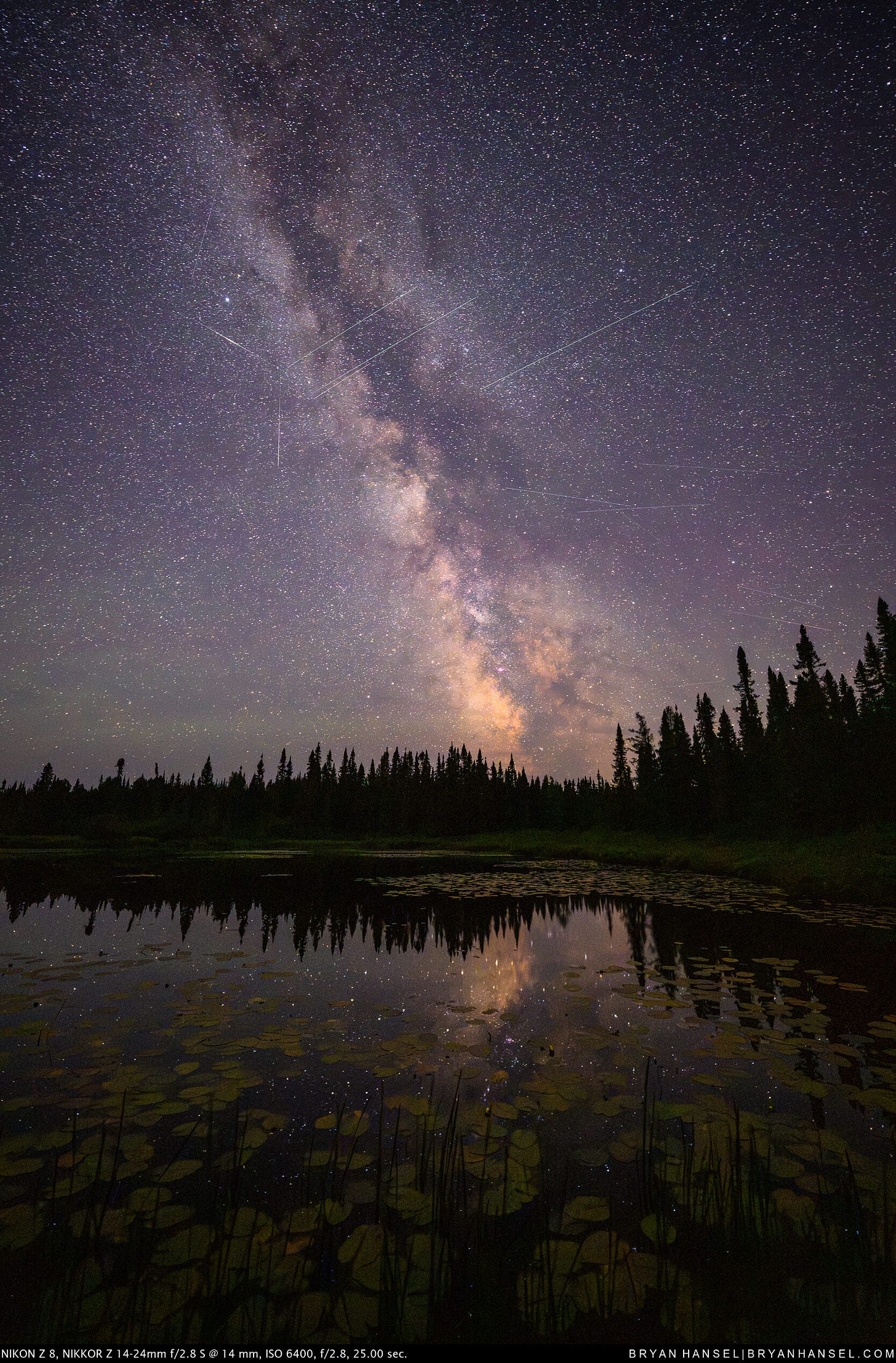 The Milky Way over a pond. It reflects in the lily pads. Satellites and a meteor fill the sky above. 