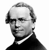 Image result for gregor mendel