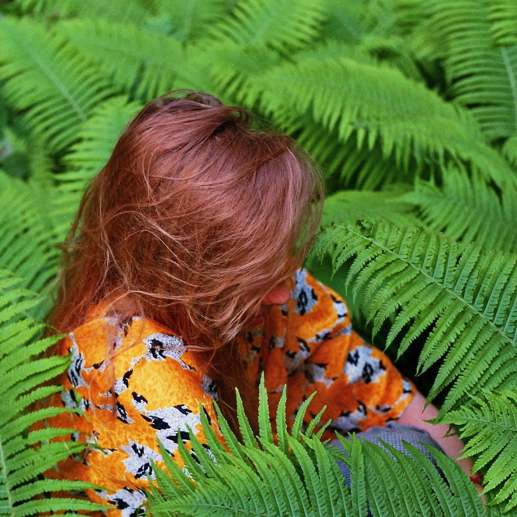 Fictions and Reflections