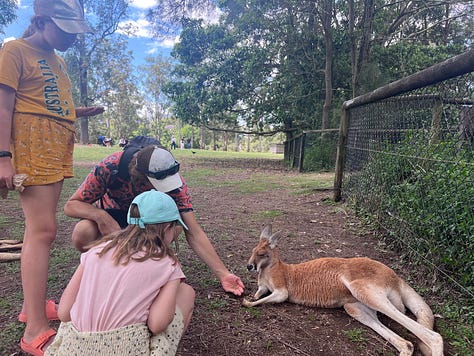 A selection of photos depicting our time visiting Lone Pine - including a photo with the Koala statue, feeding kangaroos, and watching the birds of prey show. 