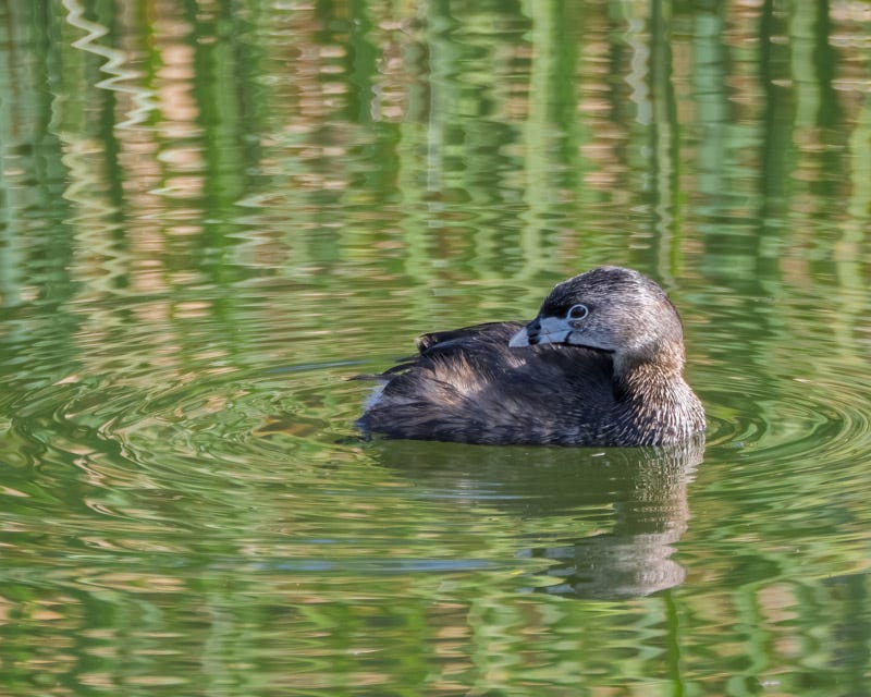20260316-Sewailo-176-Edit.jpg 20260316-Sewailo-176-Edit.jpg