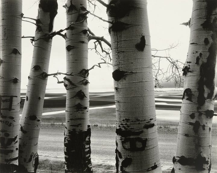 1. Bernd and Hilla Becher 2. Baldwin Lee. 3. Henri Cartier-Bresson 4. Hiroshi Sugimoto 5. Wynn Bullock 6. Brett Weston 7. Angelika Kollin