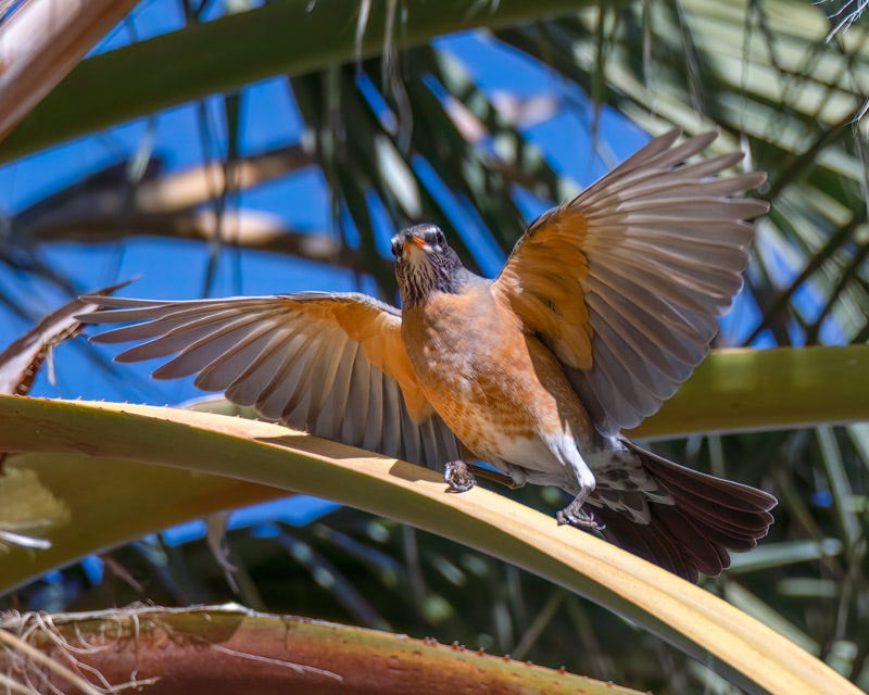 230104-misc-159-Edit.jpg 230104-misc-159-Edit.jpg