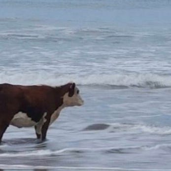 Miles High Club ☁️