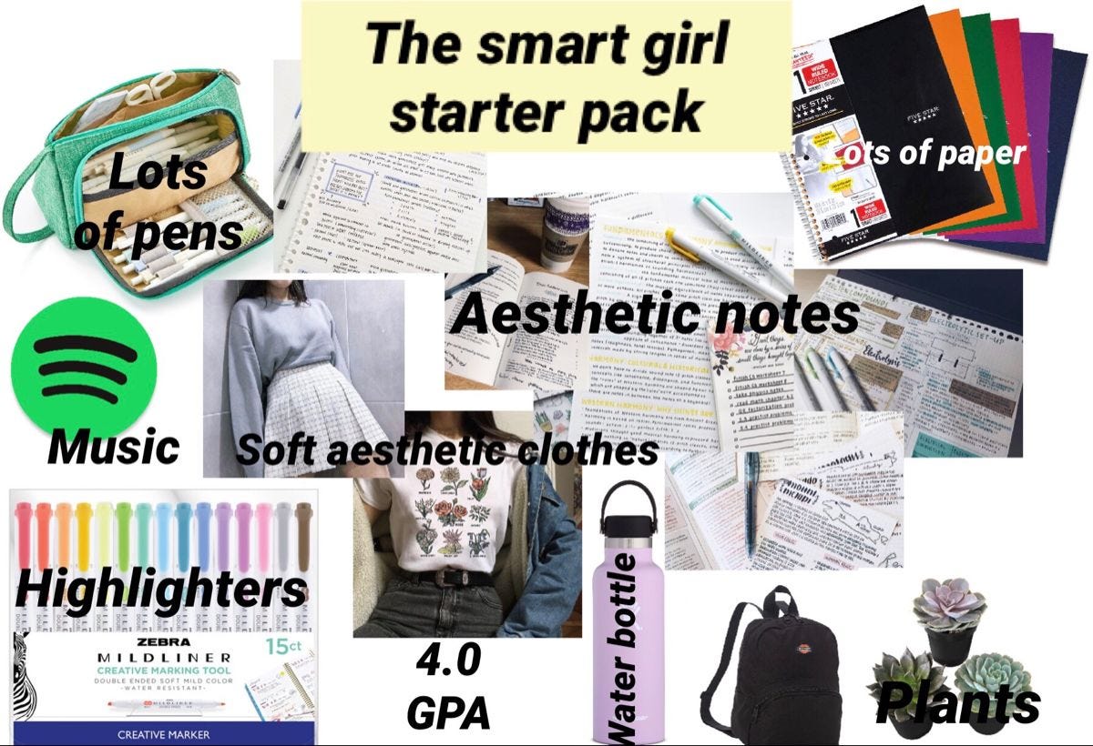 Pin on niche memes aesthetic school