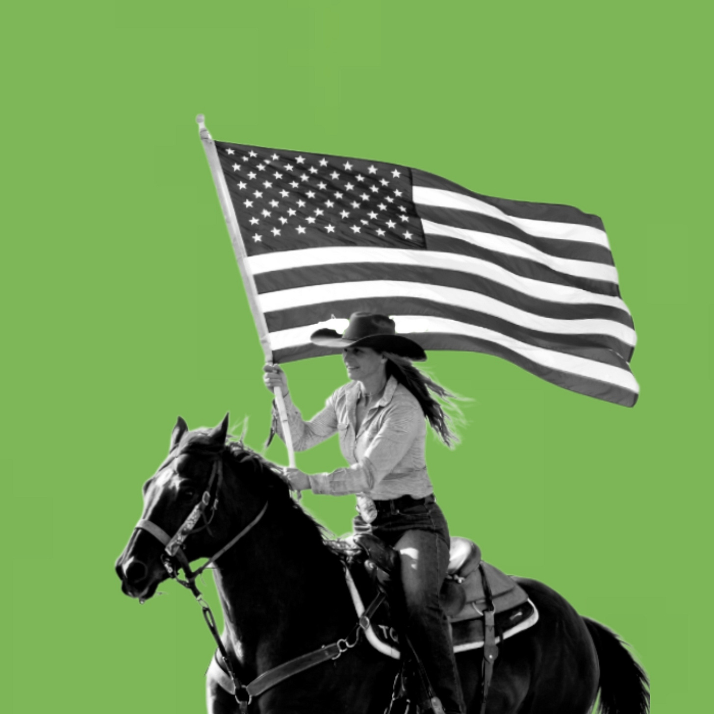 Photo illustration. Agridime uses an image similar to this on its landing page. A woman is on horseback wearing a cowboy hat and holding an American flag.