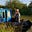 Tasmin on a boat called Folk's avatar