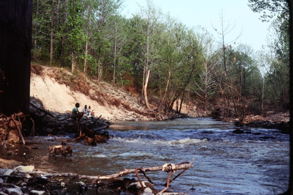 A river with trees and a sandy hill
AI-generated content may be incorrect. A river with trees and a sandy hill
AI-generated content may be incorrect.