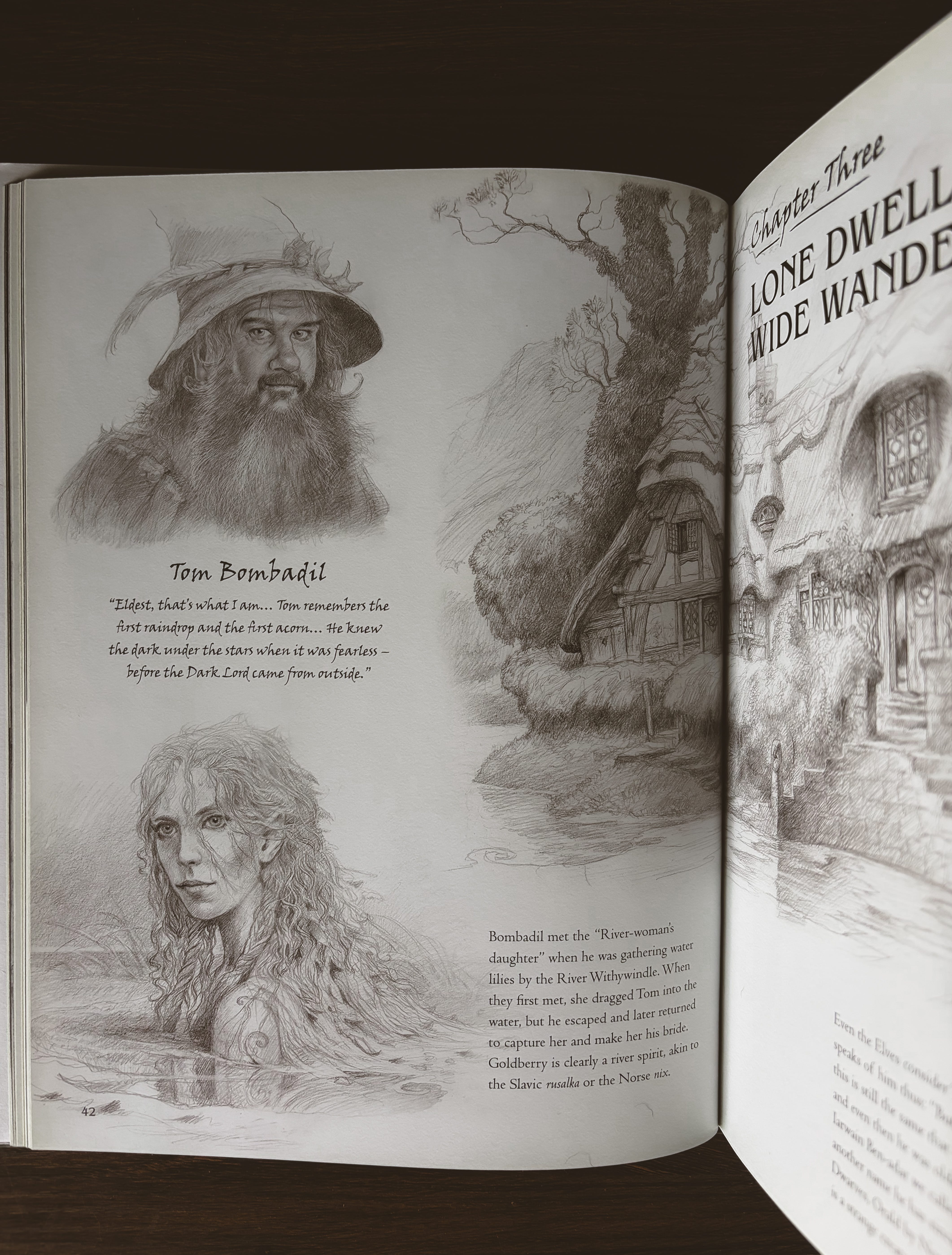 The Power of Bombadil's Joy: A Guest Post from Celebreabird