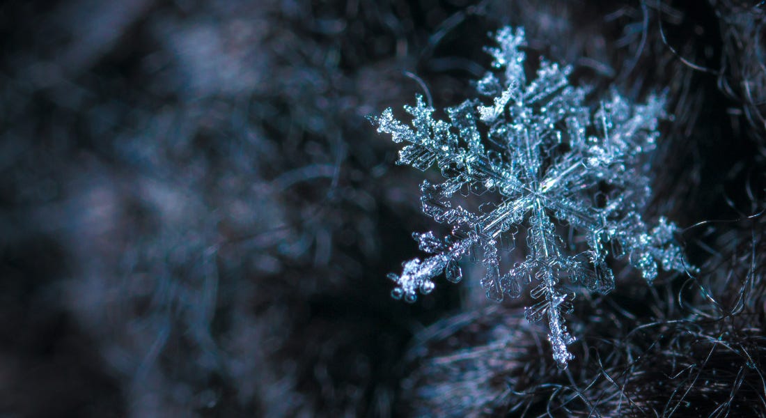 A blue snowflake on a dark blue wintery foliage background
